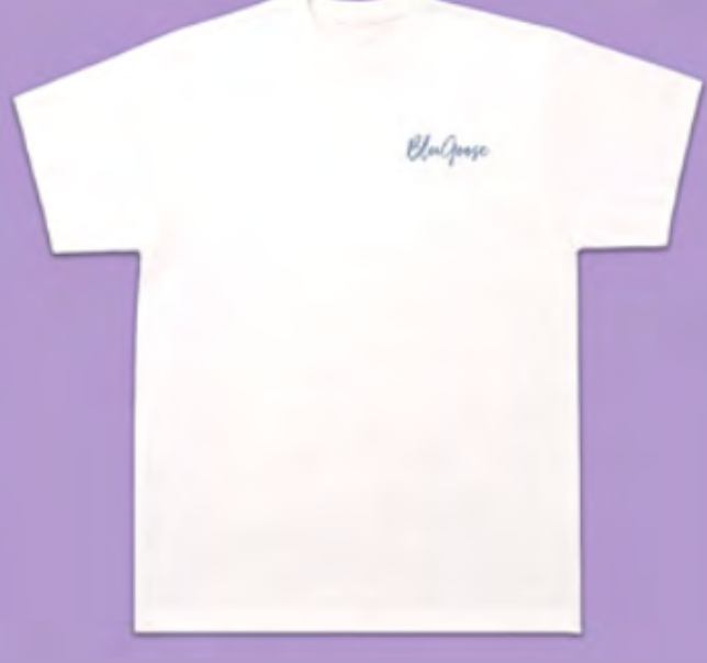 Next Level Cotton T-Shirt