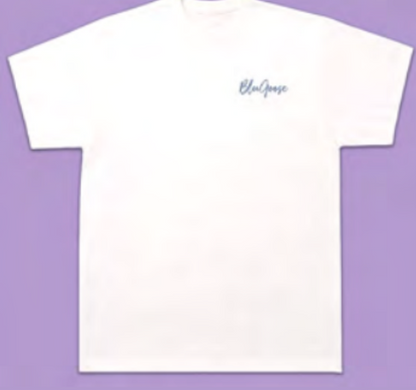 Next Level Cotton T-Shirt