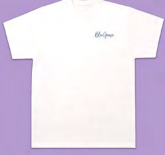 Next Level Cotton T-Shirt